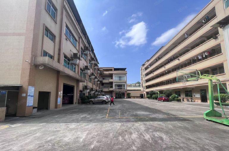 分租仅8.8元谢岗镇原房东实际面积超大空地独门独院可分层出租