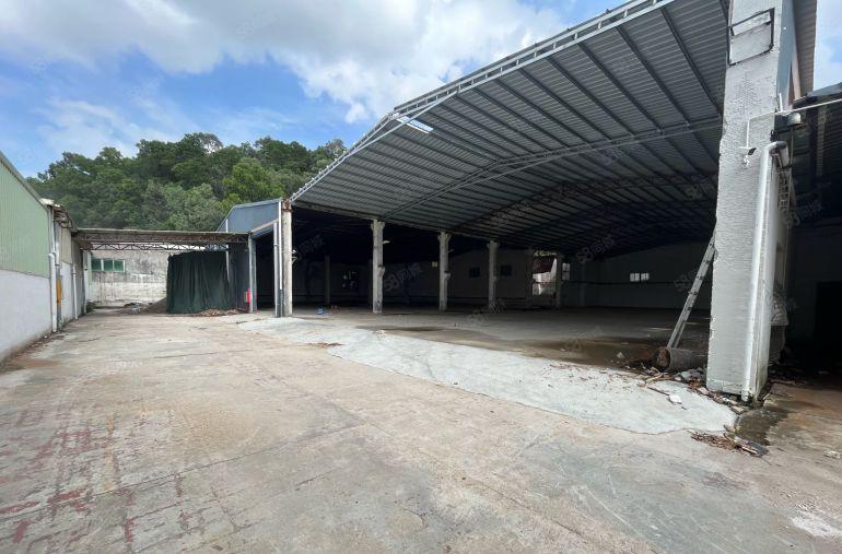 谢岗新出靠山独院3000平厂房出租适合五金喷粉玻璃家居小污染