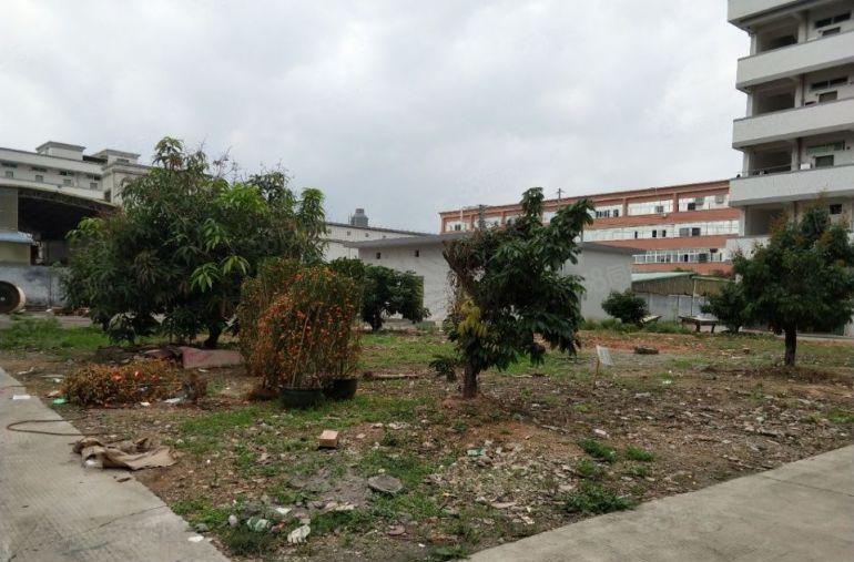 谢岗镇独栋厂房1 4层 5500平方招租，层高6米，空地大