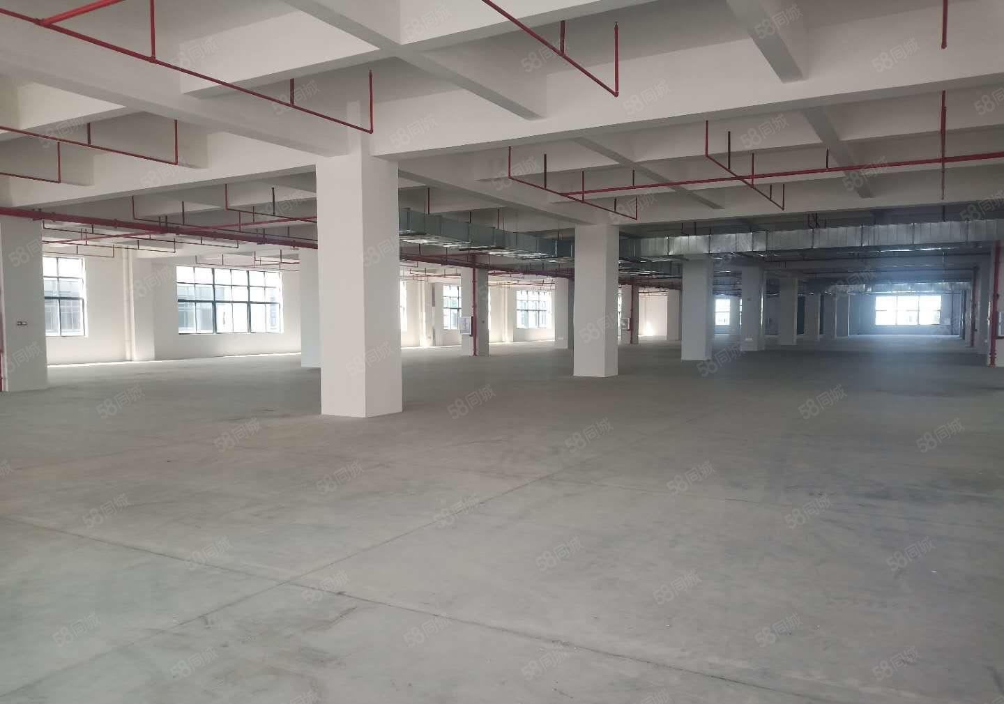 谢岗新出现成环评工业厂房20000平，空地大，形象好高速近