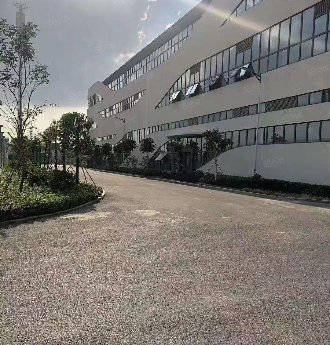 谢岗曹乐乐原房东全新重工业带红本花园式独栋厂房6800平出租