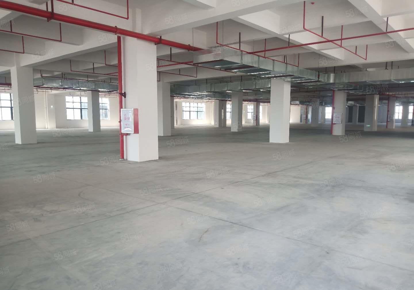 谢岗新出现成环评工业厂房20000平，空地大，形象好高速近