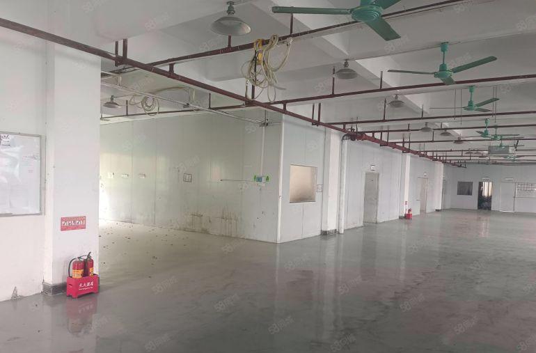 谢岗镇原房东标准厂房出租小面积楼上现成装修办公室水电齐全