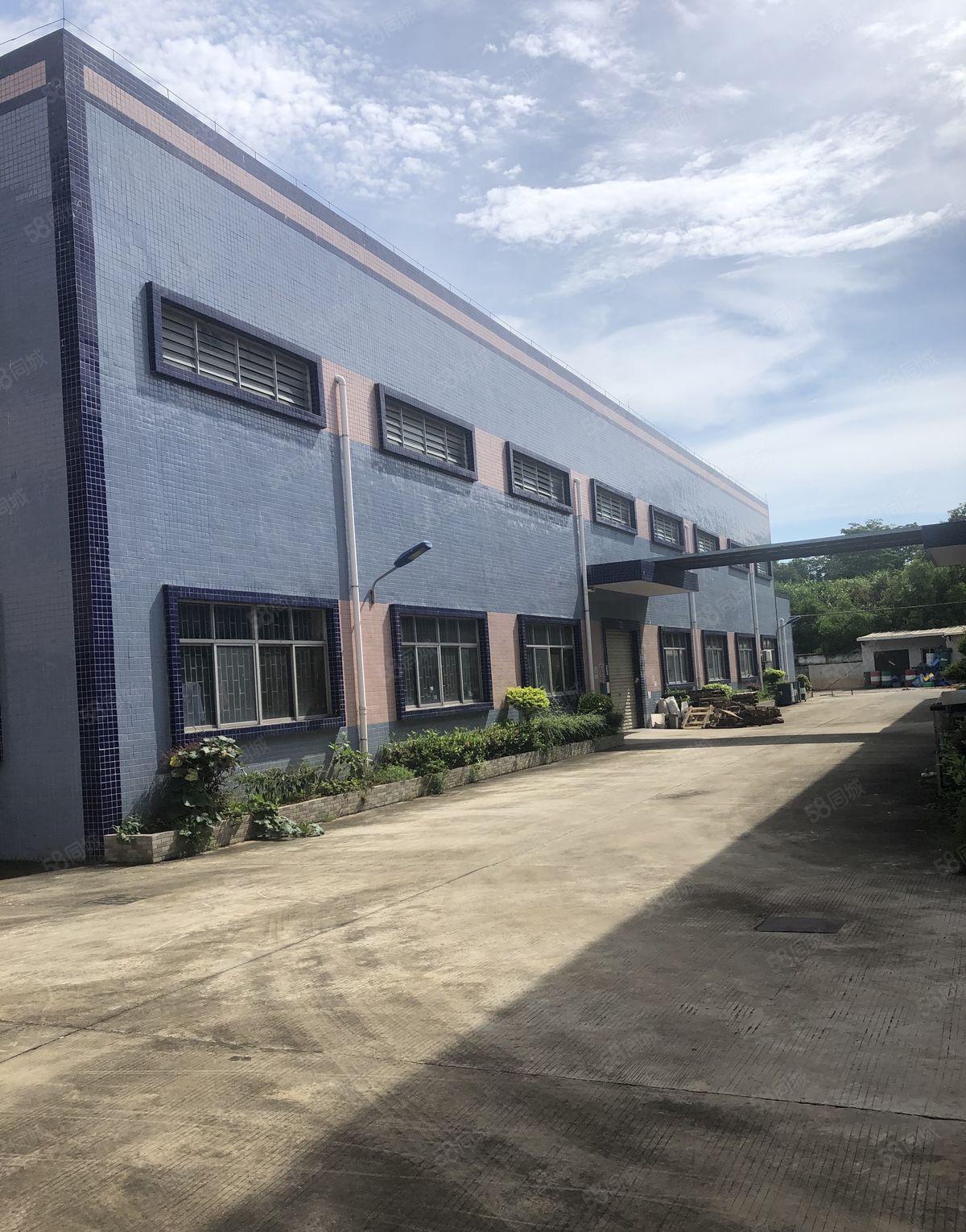 谢岗厂房出租1500平方独门独院厂房出租原房东出租