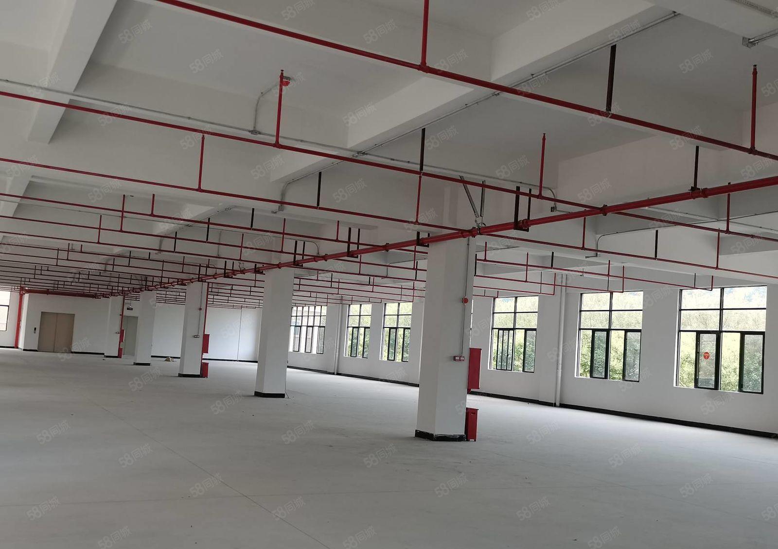 东莞谢岗全新标准单层1750平方红本厂房出租 分租