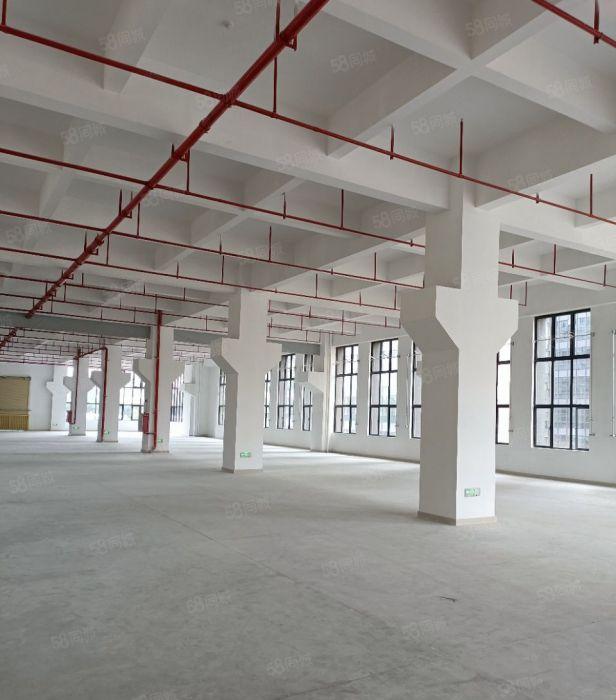 零公摊，10元厂房，1千平方起租，还送地坪漆，房东本厂房分租