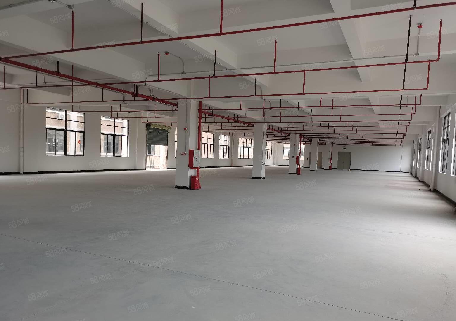 东莞谢岗全新标准单层1750平方红本厂房出租 分租