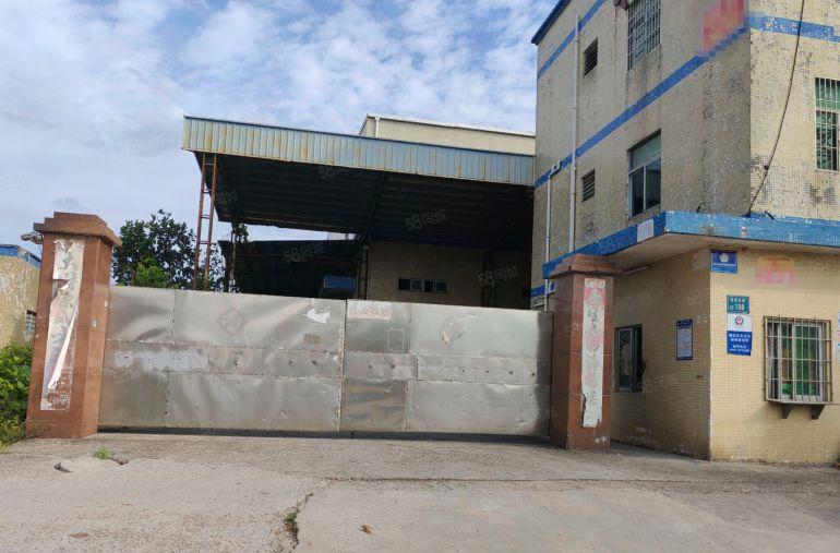 谢岗镇原房东独门独院厂房出租水电齐全正规工业用地现成办公室