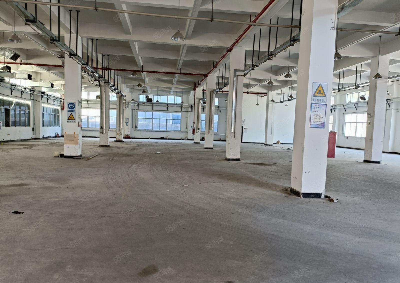 谢岗镇原房东厂房出租1300平方实际面积水电齐全低价急租