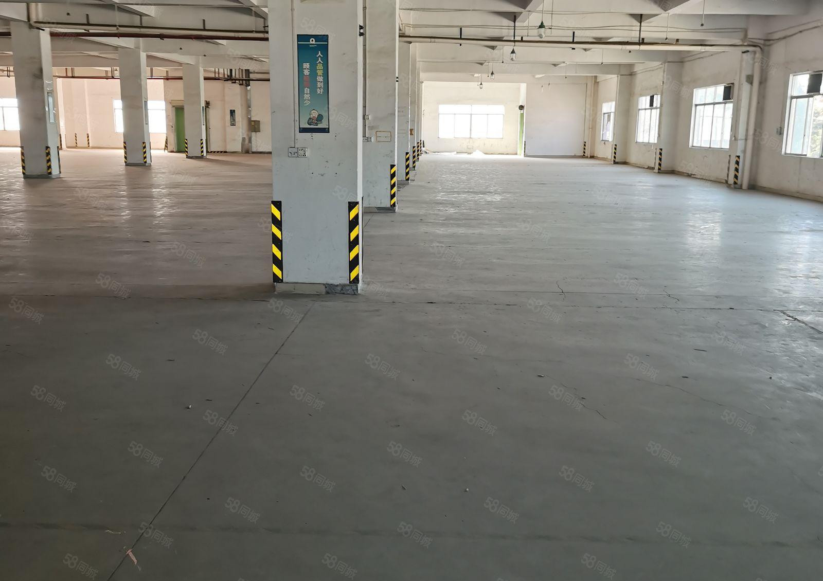 谢岗镇厂房出租喷油喷粉烤漆酸洗碱洗前研磨处理超声波清洗涉水