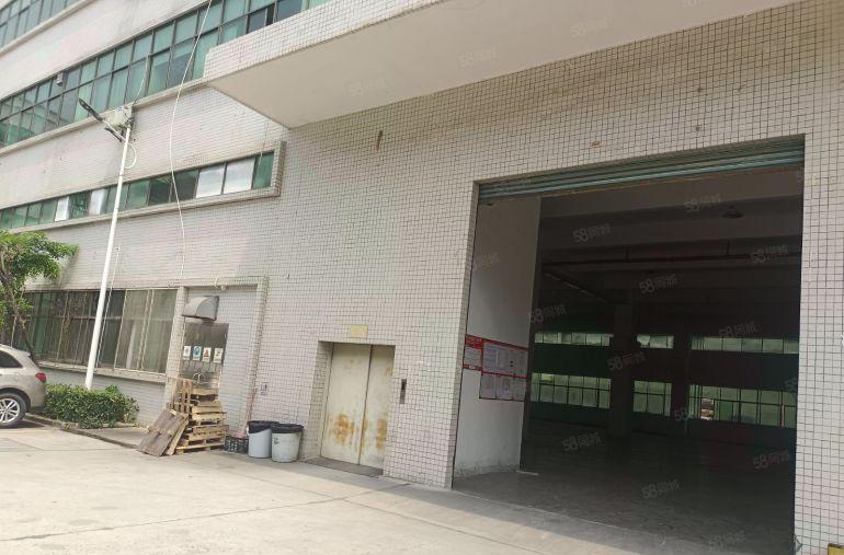 谢岗镇原房东标准厂房一楼1800平方低价出租 现成装修办公室