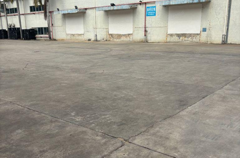 谢岗镇标准厂房出租仓库出租2600平方水电齐全带卸货平台