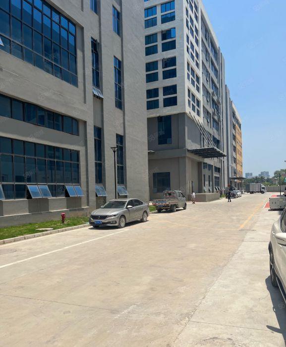 东莞谢岗原房东全新厂房出租5万平方单层面积7500平低价出租