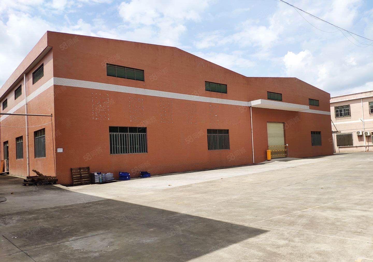 谢岗厂房出租1800平方独门独院钢结构滴水高度8米原房东出租