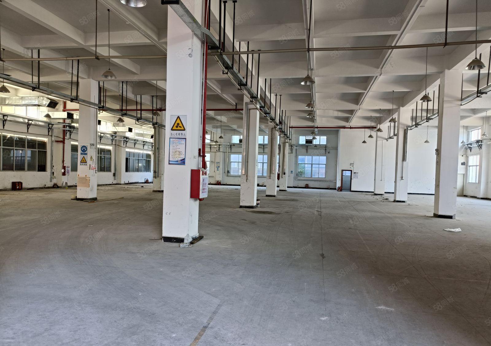 谢岗镇原房东厂房出租1300平方实际面积水电齐全低价急租