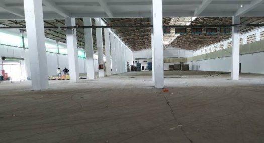 东莞市黄江镇５０００平方米单层仓库出租