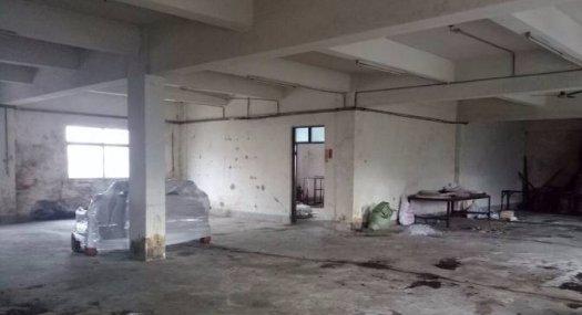 凤岗金凤凰出租二楼厂房500平 面积实在 好招工