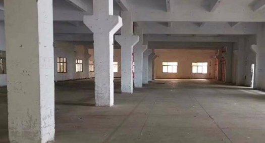 清溪三中独门独院高6米带牛角带2部三吨货梯面积实在