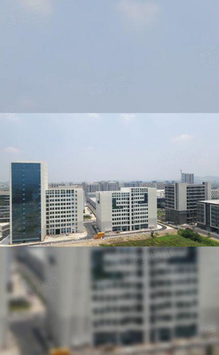 惠州仲恺高新区甲方直租，特价8.8元，定制装修交付。