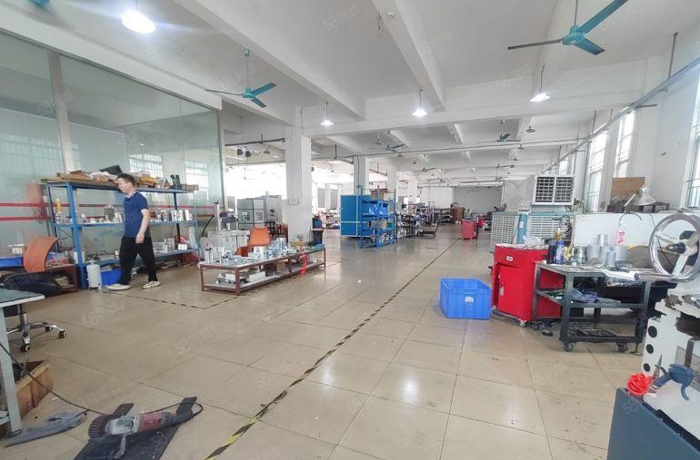 东莞独门独院2层厂房，一楼六米，带装修厂房出租