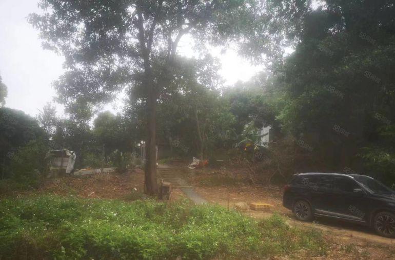 东莞黄江镇田美建筑300空地1100平方废品回收汽车停放行业