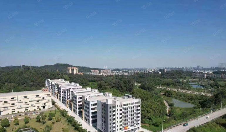 东莞产业转移优选  全新厂房企业独栋    租金10多元