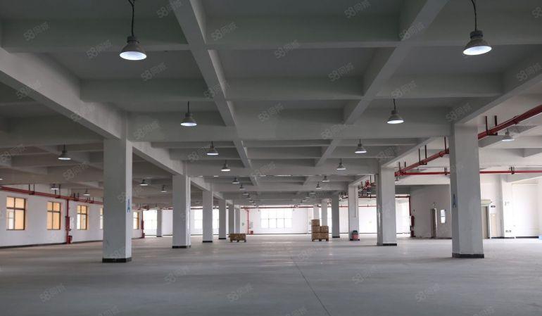 大朗新马莲原房东2500平全新厂房出租