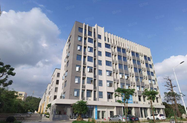 东莞产业转移优选  全新厂房企业独栋    租金10多元