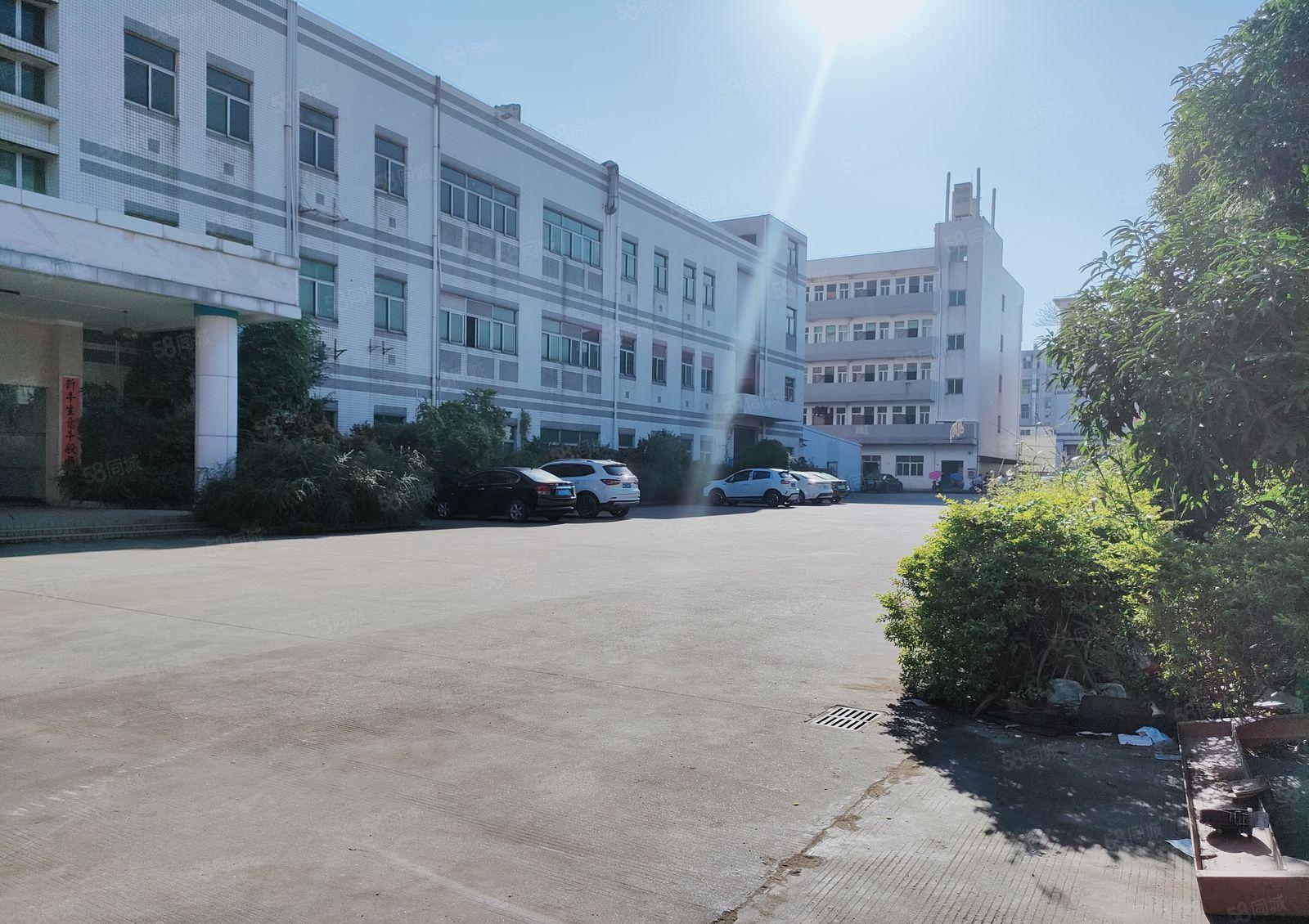 东坑路口靠近大朗方向现新空一楼700平方由于订单少厂房出租