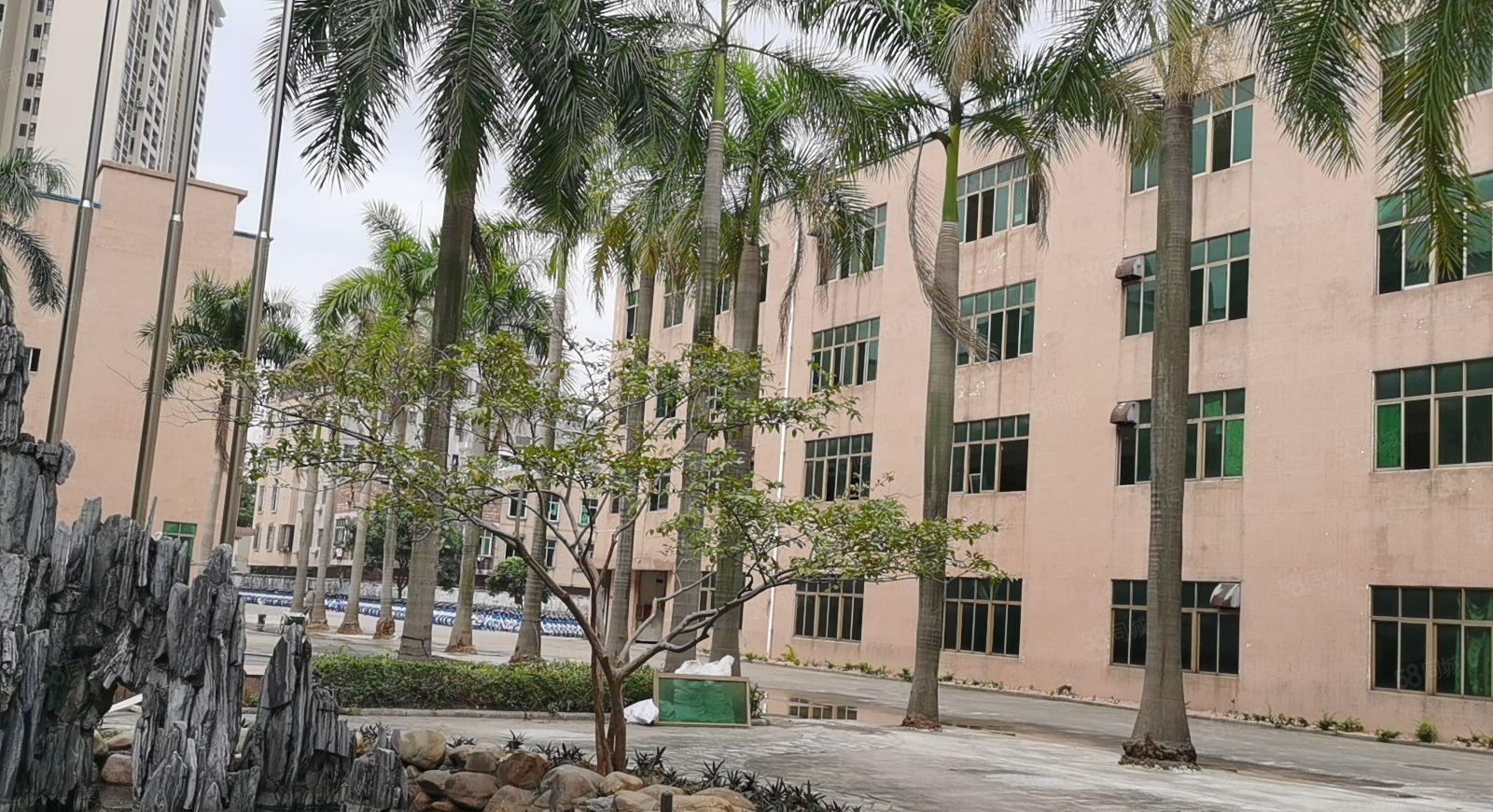 广州新塘五期厂房   价格可议