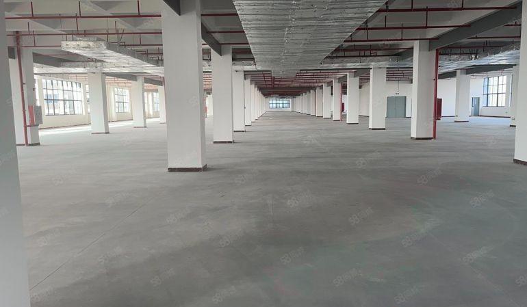 仅租6元 惠州仲恺高新科技创新园300平起租 适合各行业