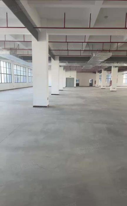 仅租6元 惠州仲恺高新科技创新园300平起租 适合各行业