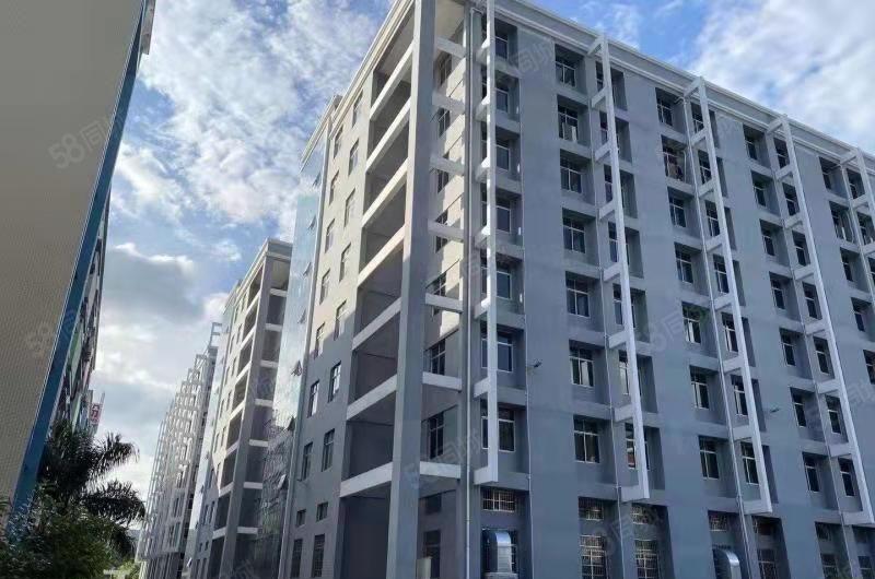 靠深圳厂房，仓库，办公楼！东莞黄江开发商直租！价格免租期面议