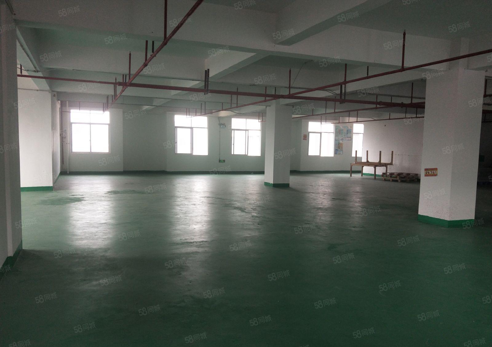 黄江靠近深圳光明850平米带地坪漆 带装修厂房出租！无中介！