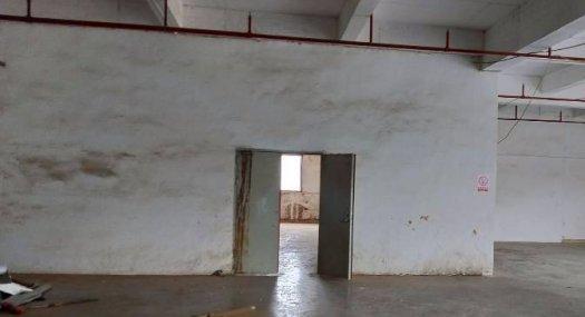 凤岗官井头楼上带消防喷淋水电齐全厂房出租700平