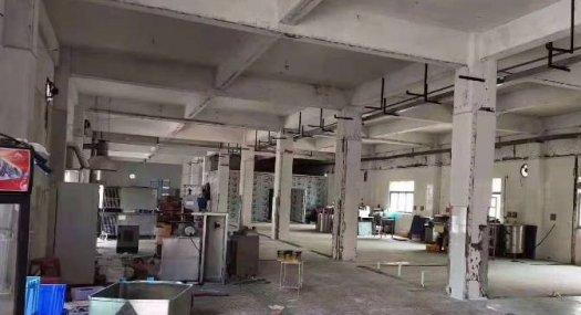 凤岗原房东独院厂房出租3000平带现成冷库 免费用