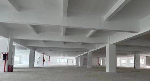 东莞东莞市 富民南路61号16600㎡ 厂房租售层高6米 配电500KVA 独院 可环评 可分租