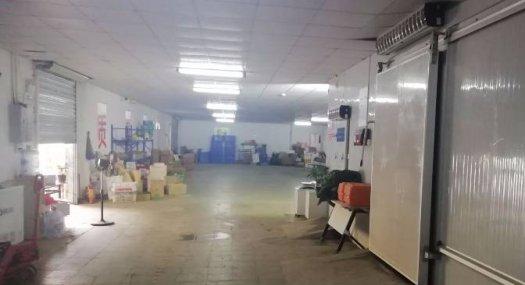 凤岗雁田出租带冷库设备齐全厂房1000平位置佳环境好