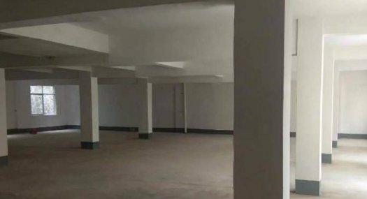 凤岗镇天堂围出租小独院花园式厂房1-3F，可分租