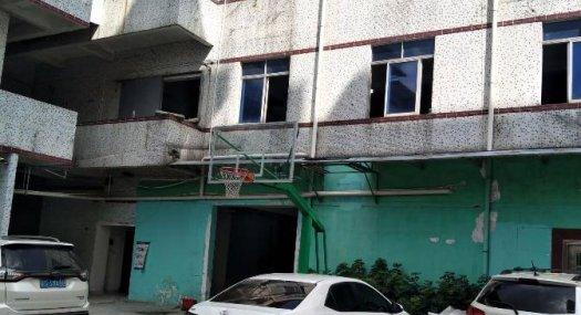 租金便宜 凤岗官井头出租一楼厂房800平适合五金模具注塑