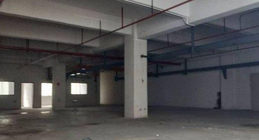 凤岗金凤凰楼上带行车 现成办公室厂房出租650平