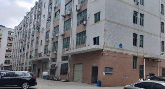 凤岗金凤凰楼上带行车 现成办公室厂房出租650平