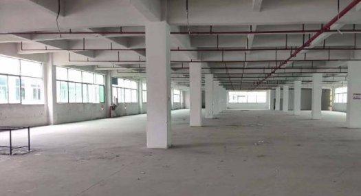 塘厦镇大坪出租楼上厂房6000平带消防喷淋 豪华办公室