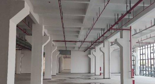 国家高新区，东莞水乡中堂红本厂房出售，7米高实心地带牛角