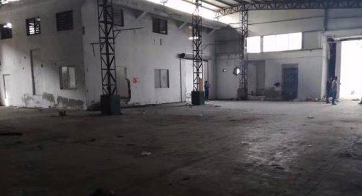 凤岗出租单一层钢构家私家具厂房1000平配电215