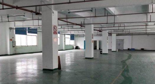 凤岗雁田原房东楼上带豪华装修办公室厂房1600平