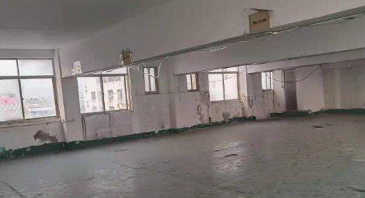 东莞东莞凤岗3000㎡ 厂房租售层高6米 配电315KVA 独院 可环评 可分租