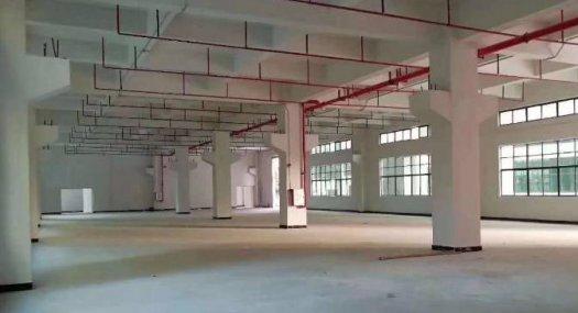 凤岗镇金凤凰全新厂房出租一楼1520平带牛角高6米好招工