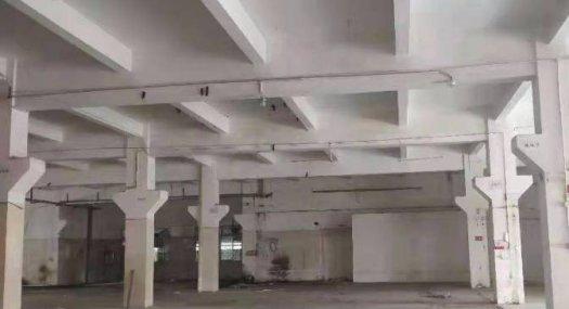 塘厦镇清湖头标准一楼厂房带牛角5.5米高出租1500平空地大