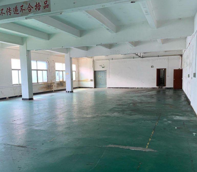 一手房东一楼厂房出租（可分租）